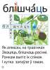 Наглядна-дыдактычны комплекс па беларускай мове 